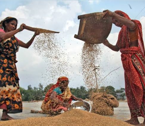 Livelihoods & Economic Development
